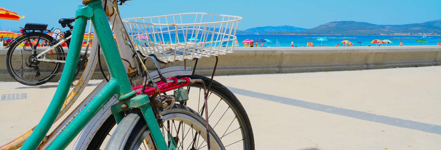 Tour en bicicleta por la playa y las Torres de la Huerta