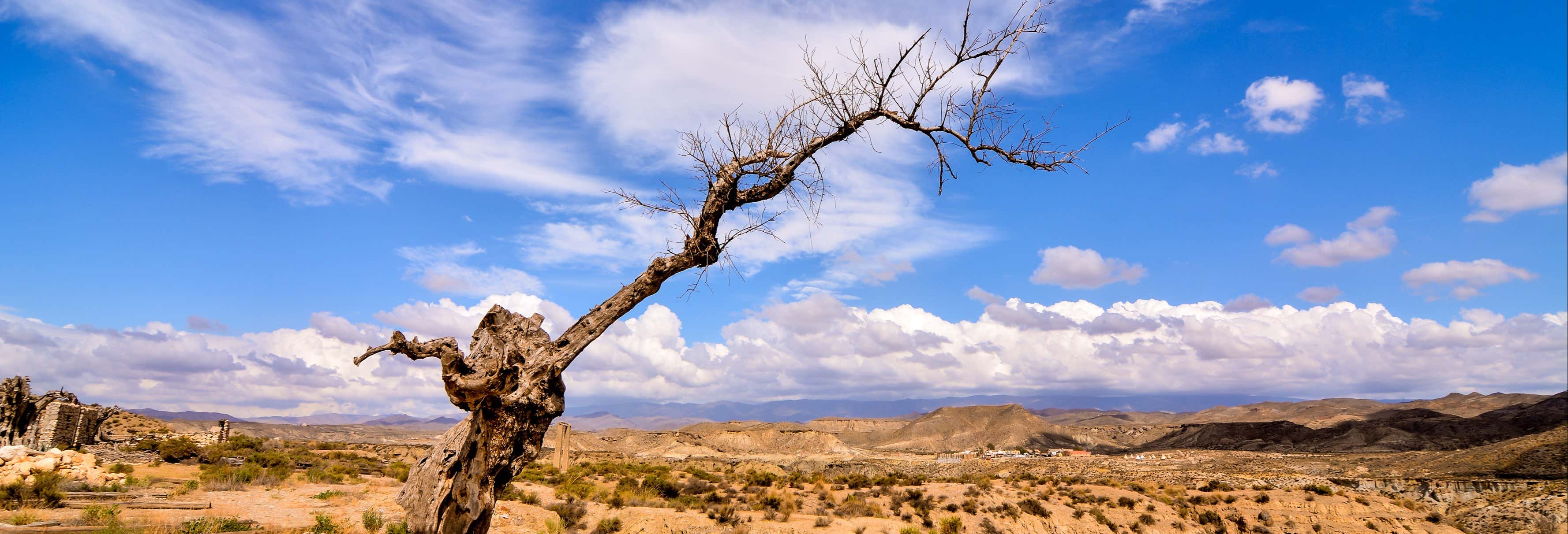 Excursión al desierto de Tabernas