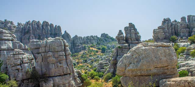 Visita guiada por el Torcal y los Dólmenes de Antequera