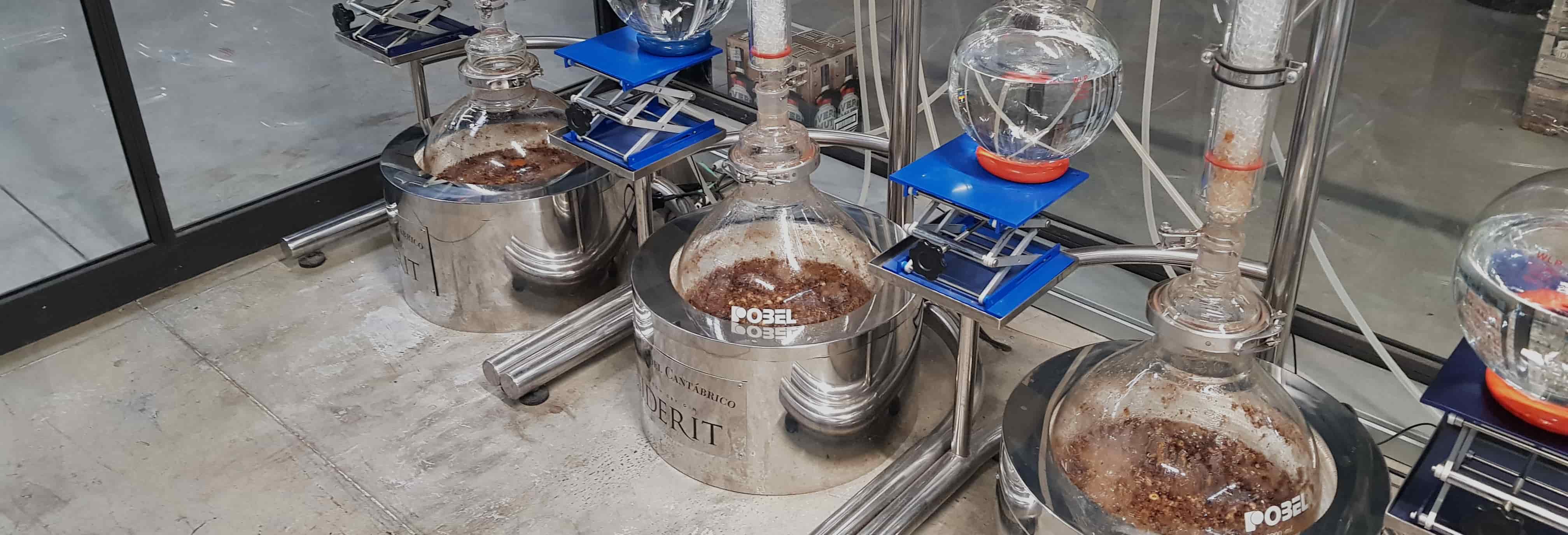 Visita à destilaria Siderit