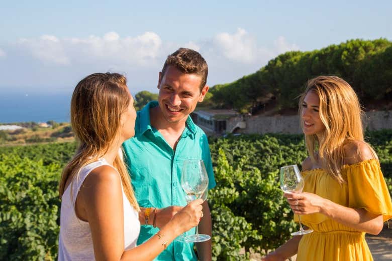 Saboreando os vinhos da degustação