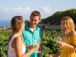 Saboreando os vinhos da degustação