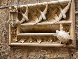 Tartaruga de pedra na Casa del Arcediano