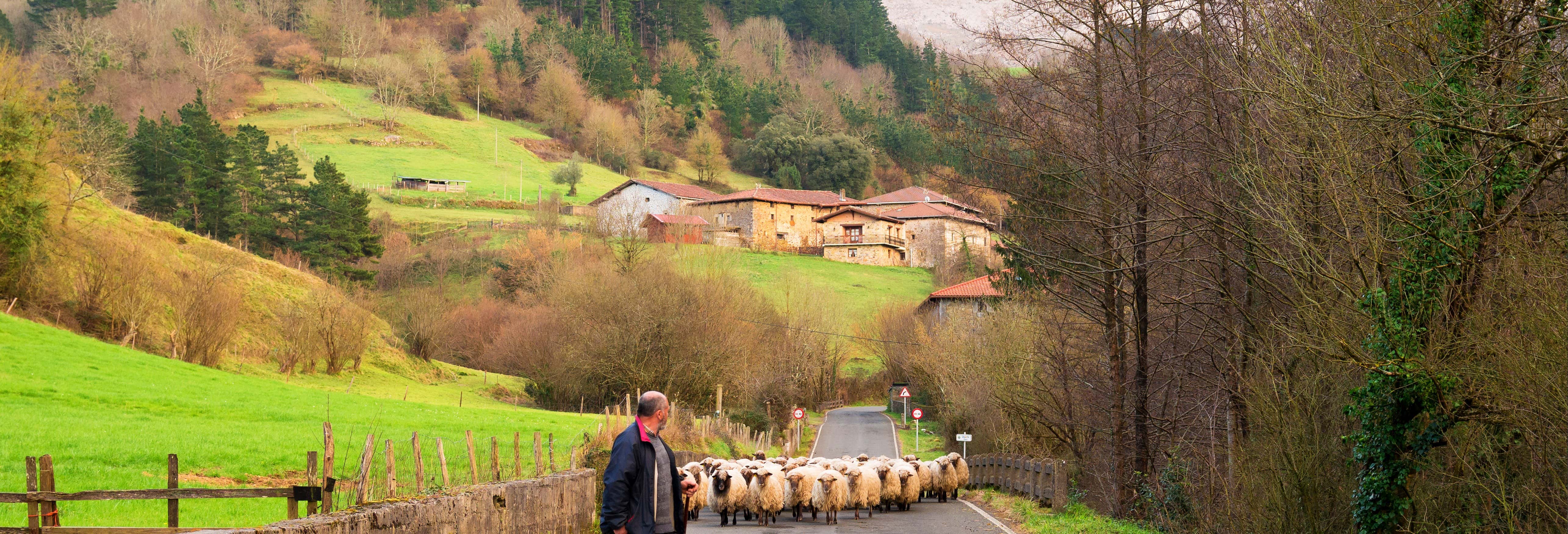 Elorrio, Oñati y el Santuario de Arantzazu