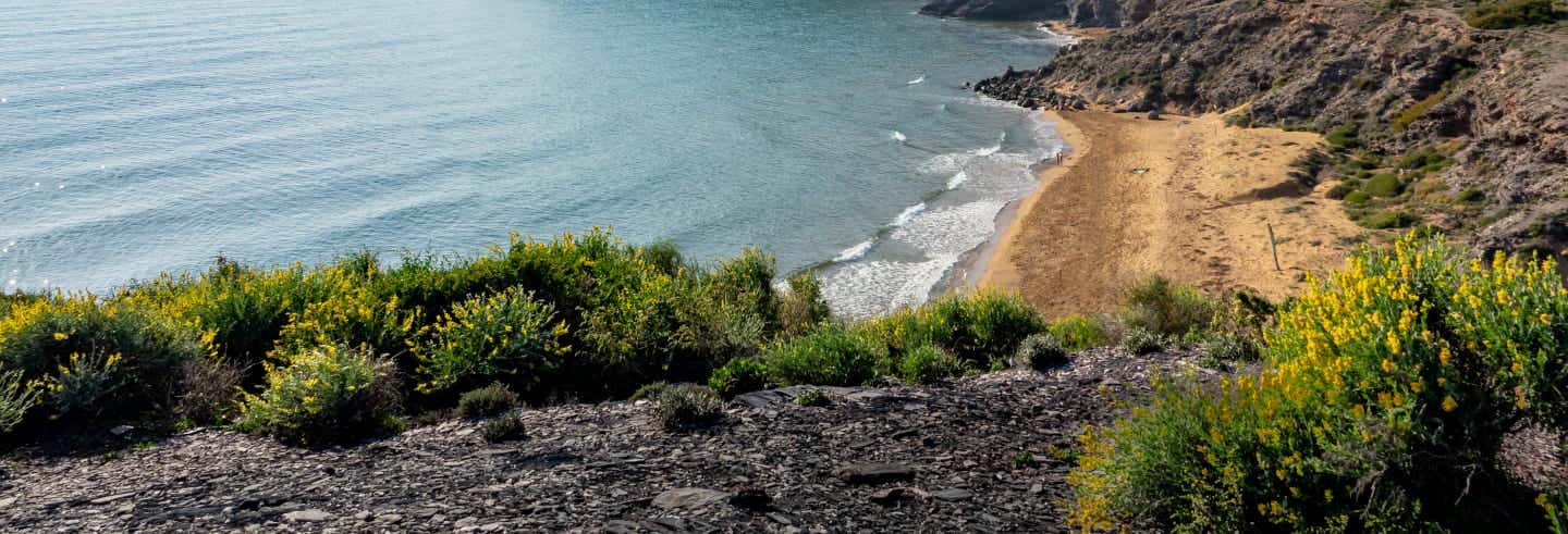 Tour en bicicleta por Calblanque