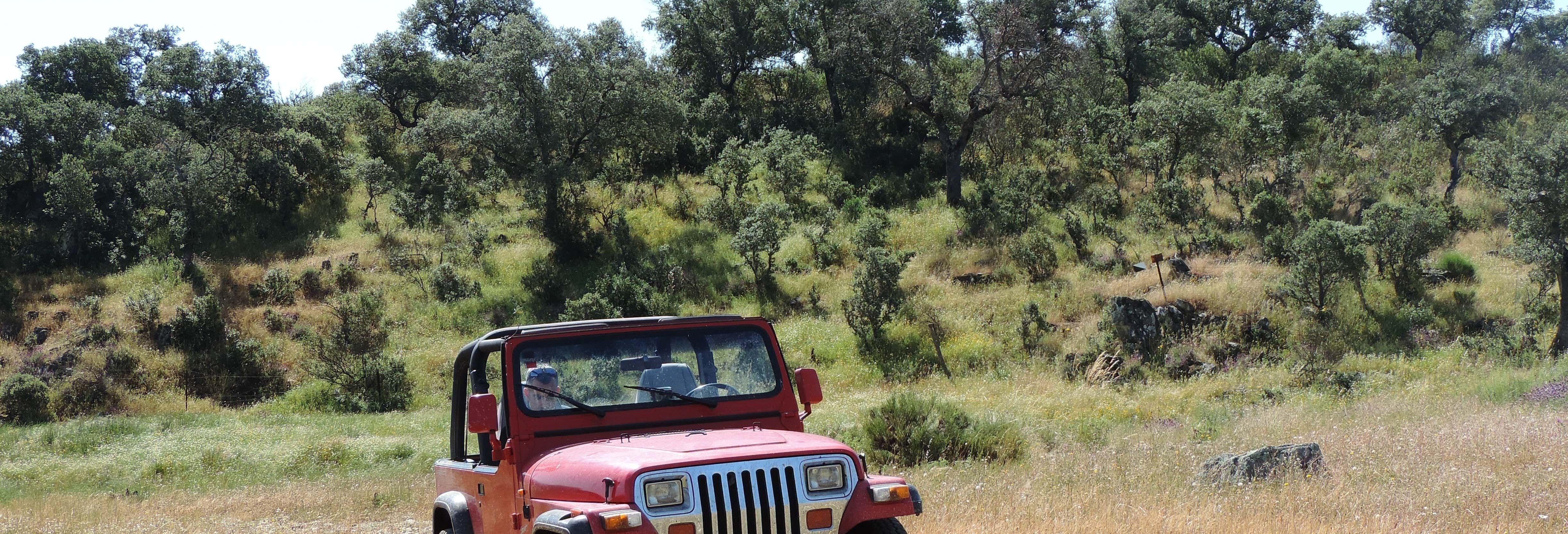 Tour de 4x4 pela Serra de San Pedro
