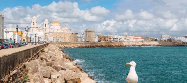 Tour privato di Cadice