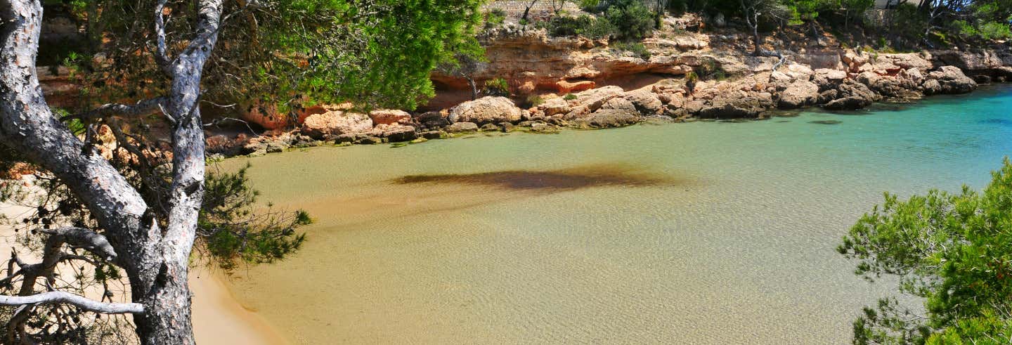 Excursión en barco a Cala Calafat