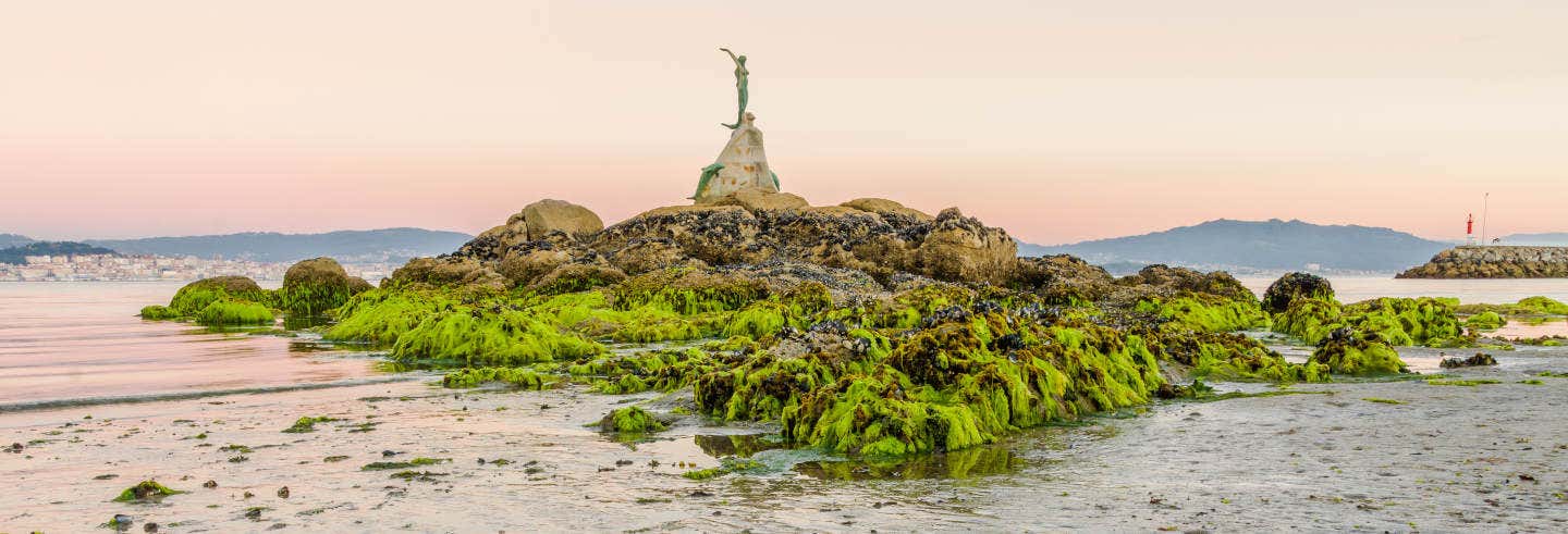 Excursión a la isla de San Simón en barco