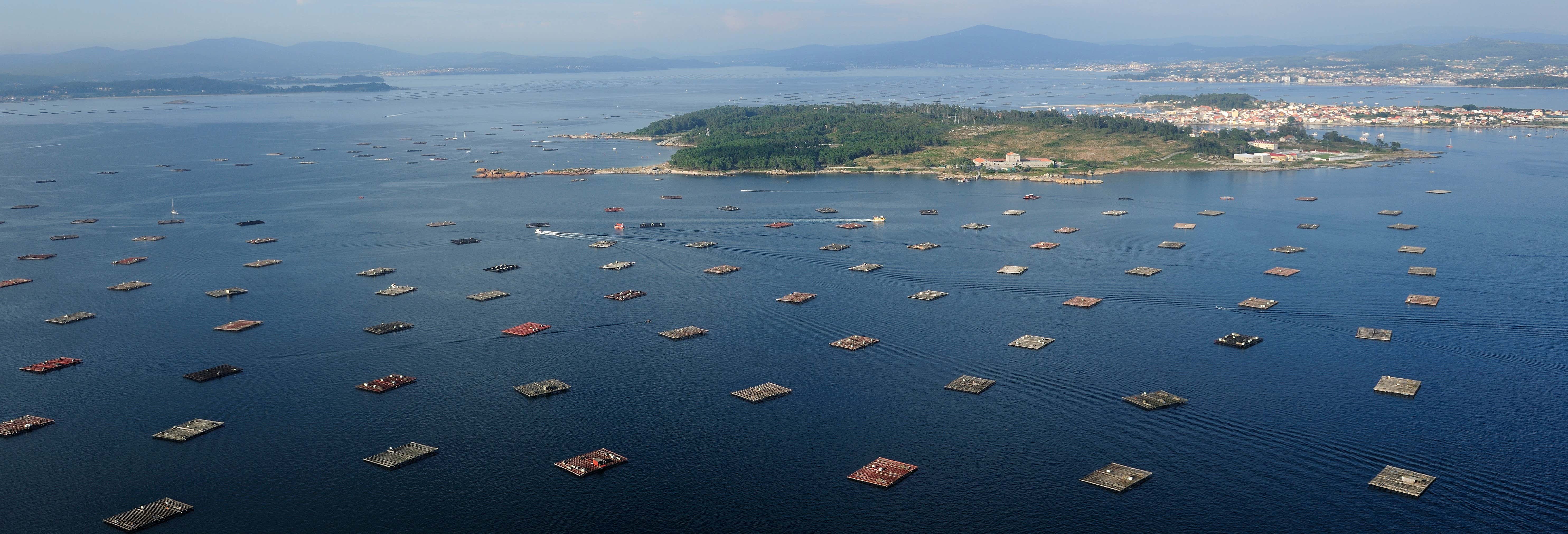 Paseo en barco por la Ría de Vigo + Degustación de mejillones