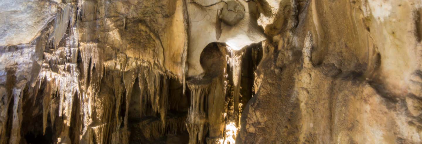 Visita guiada por la Cueva del Puerto