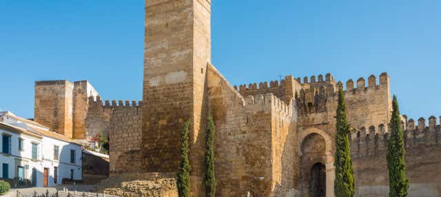 Visita guiada por Carmona con entradas