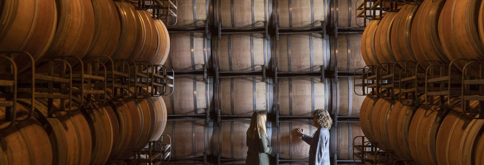 Visita a las bodegas Marqués de Cáceres