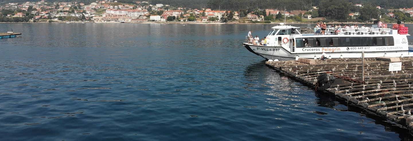 Paseo en barco por la Ría + Degustación de mejillones