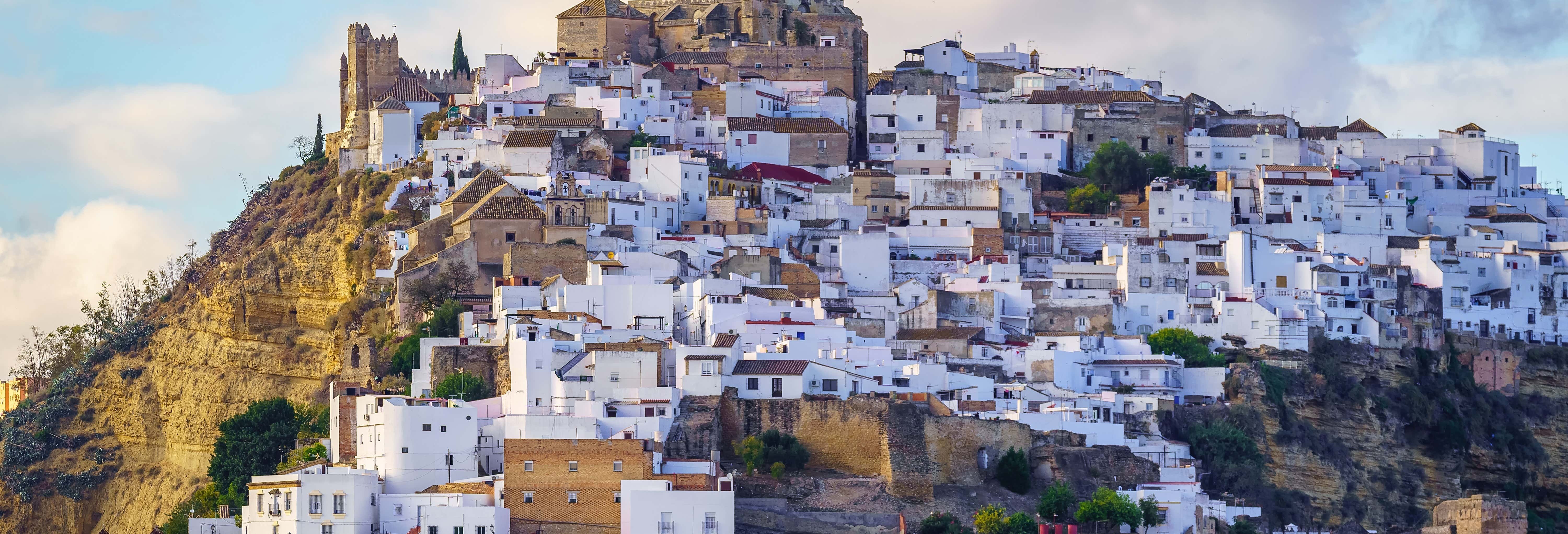 Excursión a los pueblos blancos