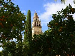La torre campanario