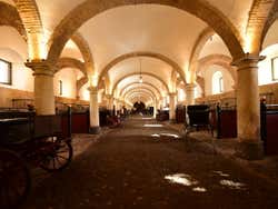 La cuadra de las Caballerizas Reales