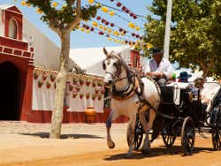 Calesa en la Feria de Córdoba