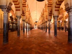 Paseando por la mezquita