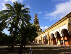 El Patio de los Naranjos