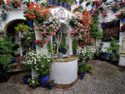 Patio cordobés