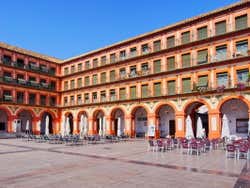 Terrazas de la Plaza de la Corredera