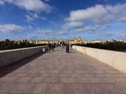 Paseando por el Puente Romano