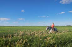 Paseo a caballo por la Vereda de Trassierra