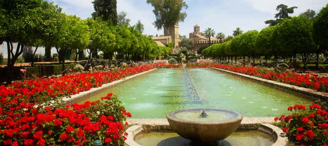 Tour della Moschea e dell'Alcázar di Cordova