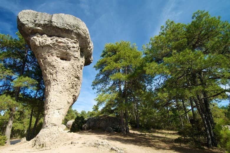 visitas guiadas a la ciudad encantada