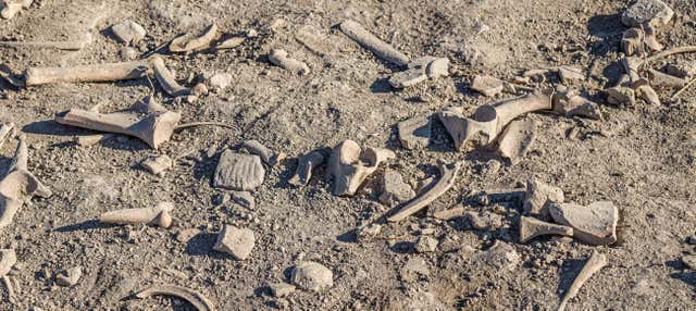 Rota dos dinossauros por Cuenca