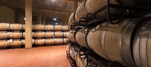 Tour de vinhedos e adegas por La Mancha