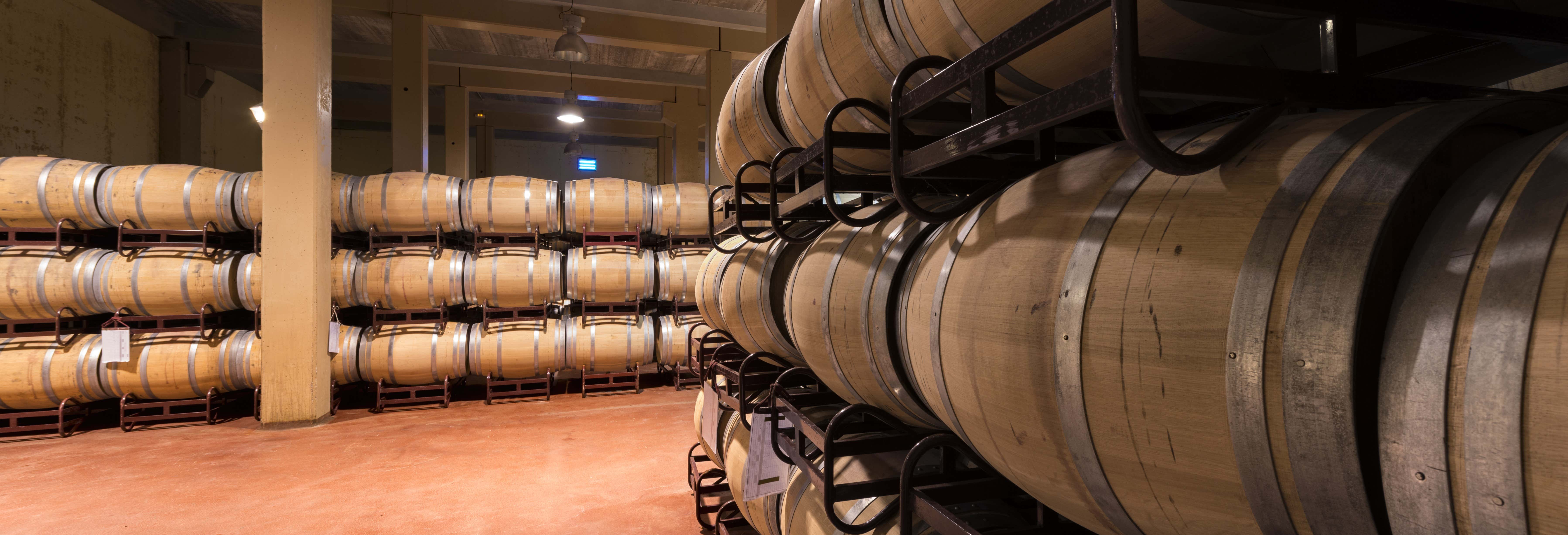 Tour de viñedos y bodegas por La Mancha