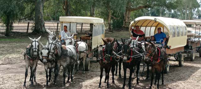 Paseo a caballo por Doñana y El Rocío