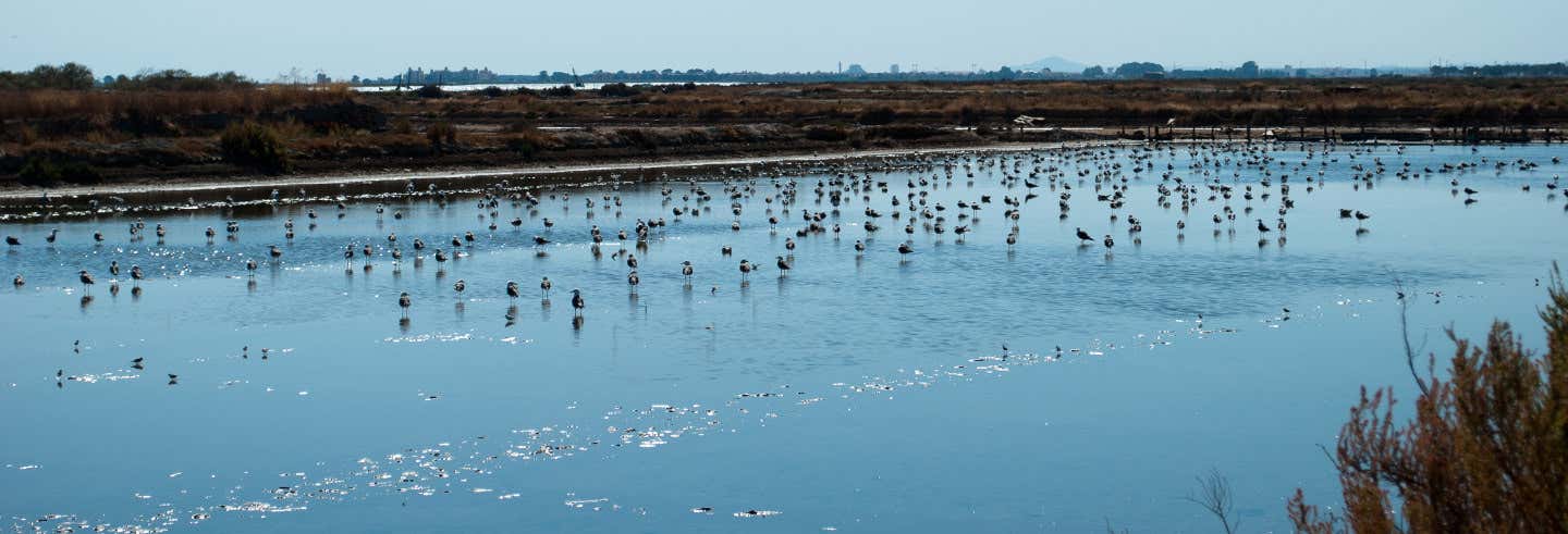 Escursione al Parco Nazionale di Doñana