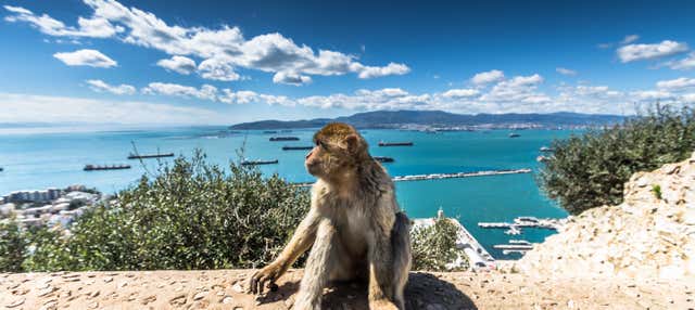 Excursion à Gibraltar