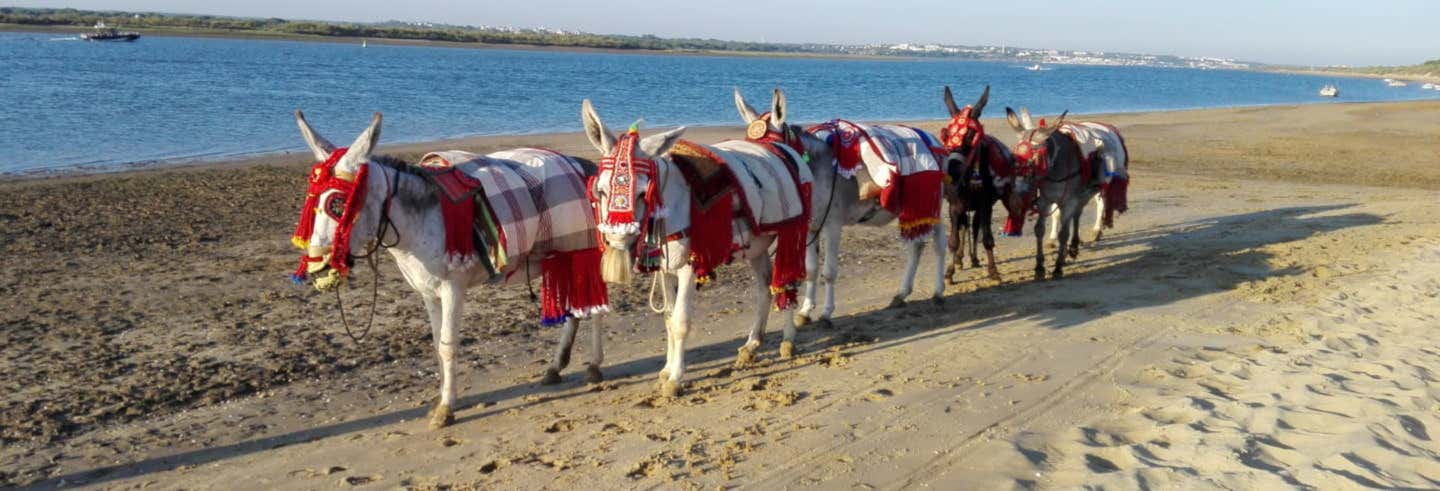 Paseo en burro por El Rompido