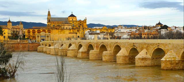 Excursión a Córdoba