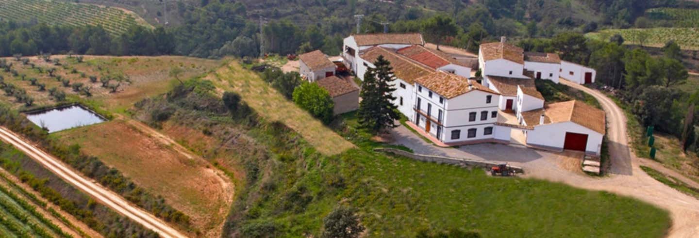 Visita a la Bodega Miquel Jané