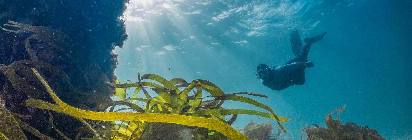 Snorkel en Foz