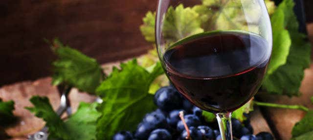 Tour de viñedos y bodegas