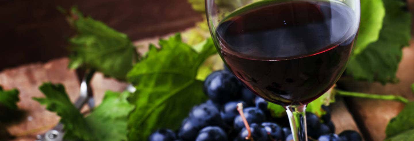 Tour de viñedos y bodegas