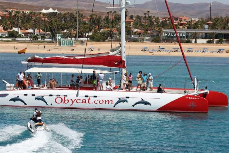 catamaran cruise fuerteventura