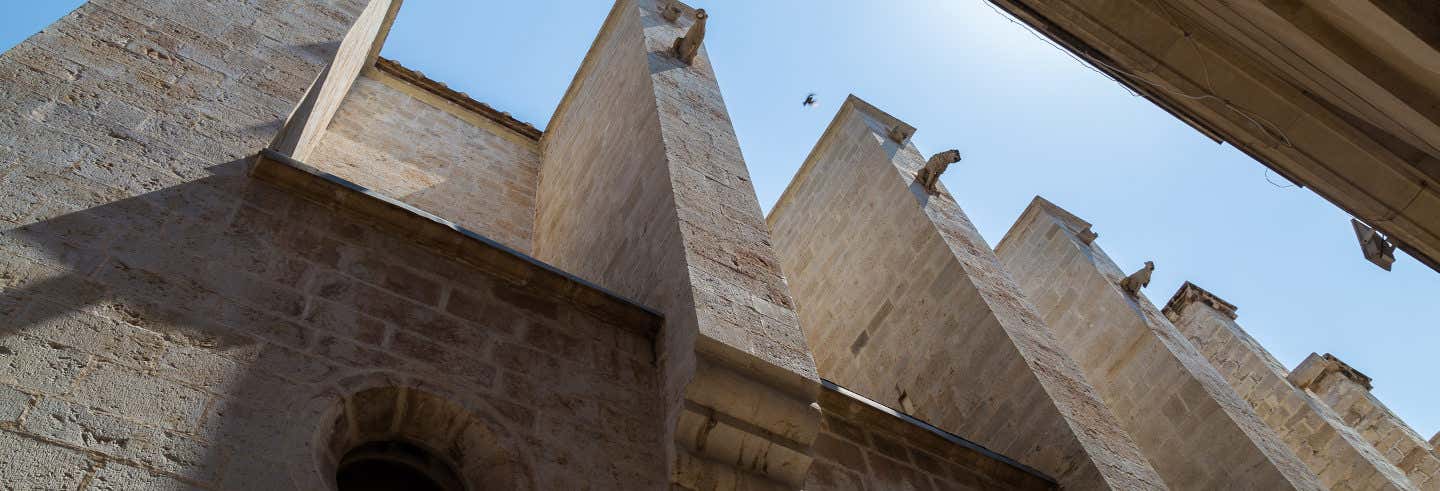 Free tour por Gandía ¡Gratis!