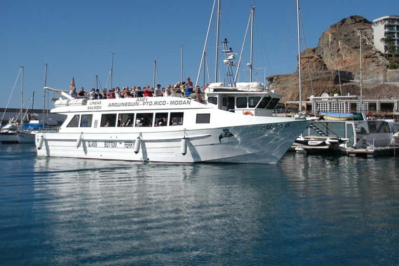 O barco de onde avistaremos os cetáceos