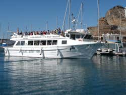 O barco de onde avistaremos os cetáceos