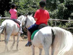 Crianças montadas em pôneis