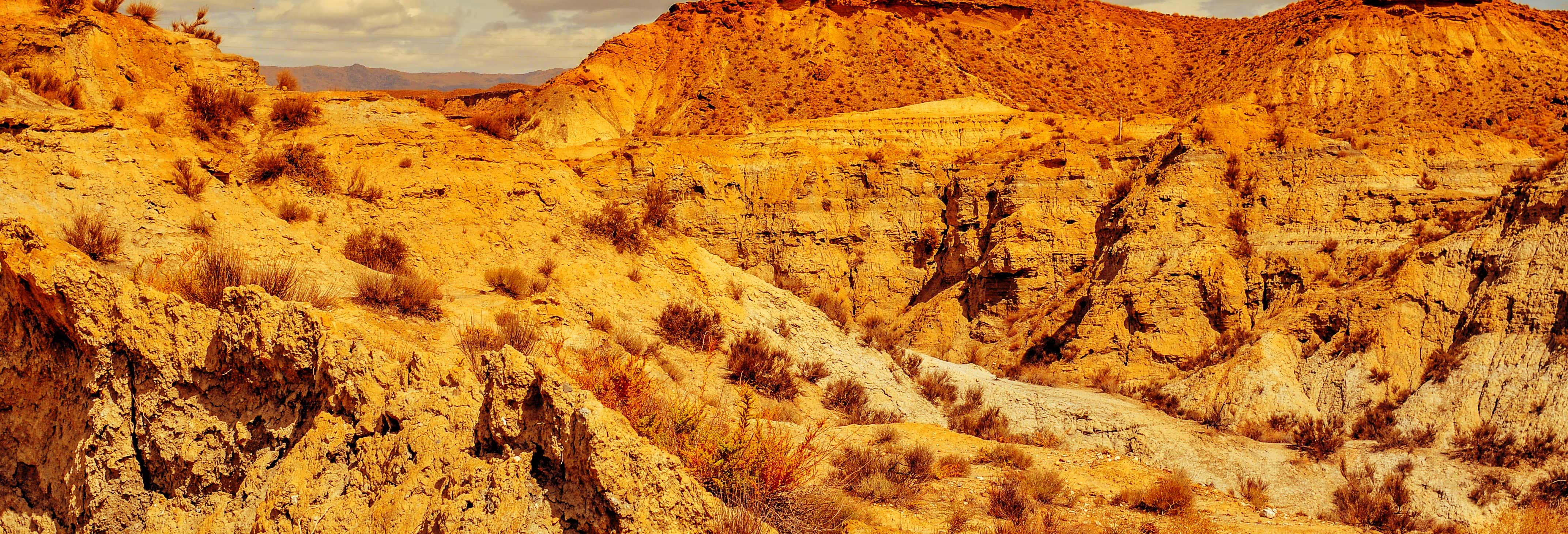 Excursión al desierto de Tabernas
