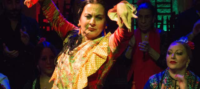 Flamenco y cena en el Sacromonte: Cuevas Los Tarantos
