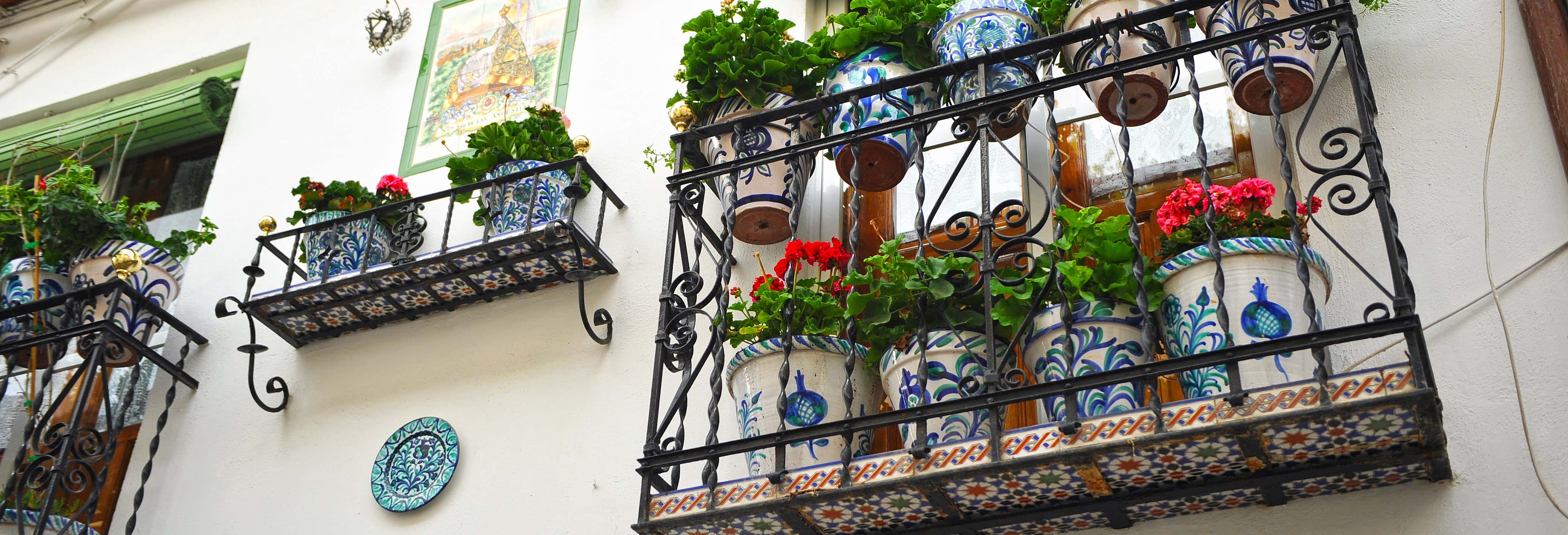 Free tour por el Albaicín ¡Gratis!